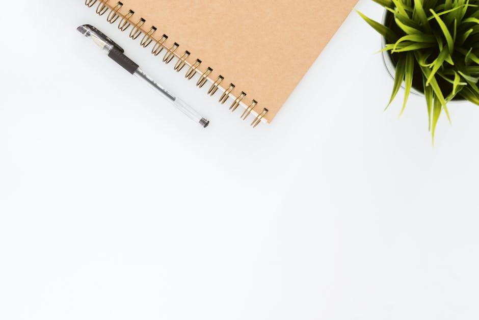 Practical Tips for Creating a Light-Friendly Productivity Environment