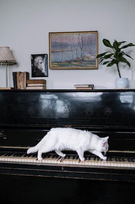How to Create a Pet-Friendly Home