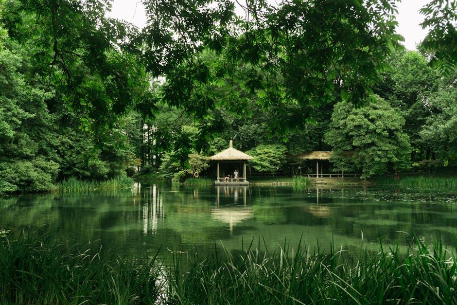 Choosing the Perfect Spot for Your Meditation Sanctuary