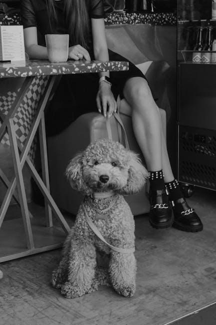 Incorporating Pet-Friendly Furniture and Accessories
