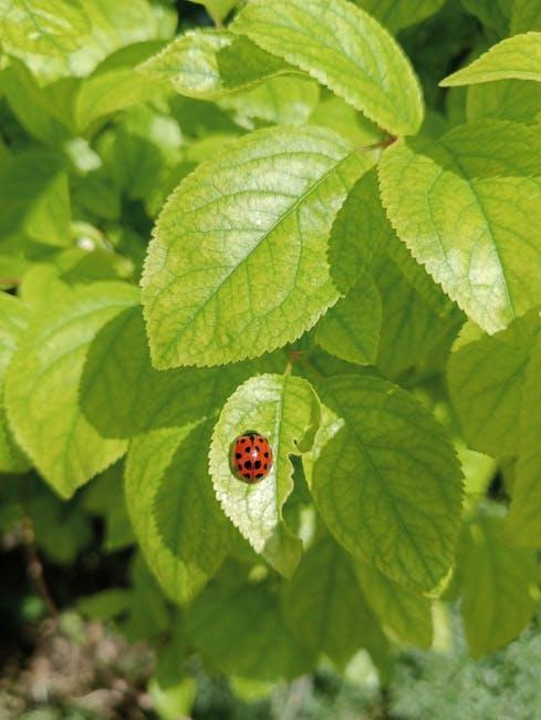 Choosing the Perfect Spot for Your Herb Garden