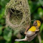 Mobile AI in wildlife tracking and conservation