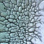 How phones detect and analyze earthquakes