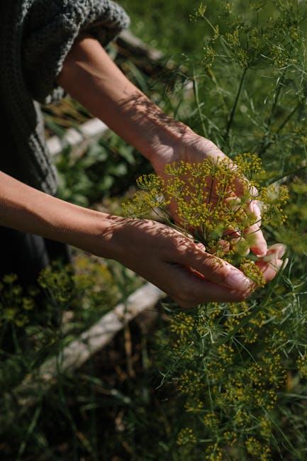 Growing and Harvesting Your Fresh Seasonal Herbs