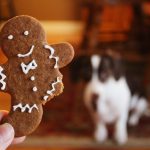 Homemade Pet Treats and Accessories
