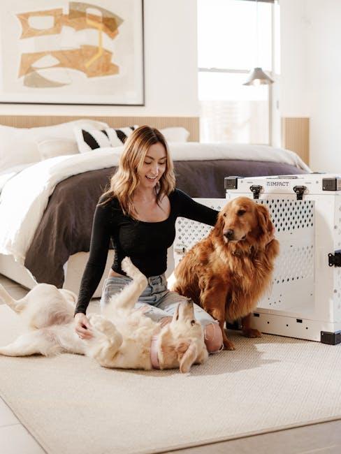 Designing Safe Spaces for Pets to Explore
