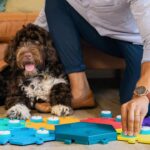 Pawsitive Progress: The Future of Pet Care Innovations