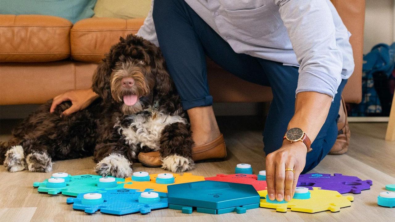 Pawsitive Progress: The Future of Pet Care Innovations