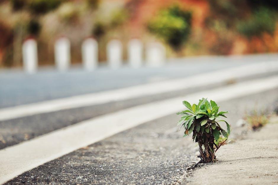 Identifying Areas in Life That Require Clear Limits