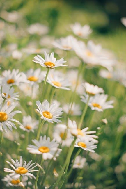Creating a Sleep-Friendly Environment to Promote Relaxation