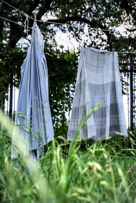 Tips for Refreshing and Maintaining Your Air Fresheners