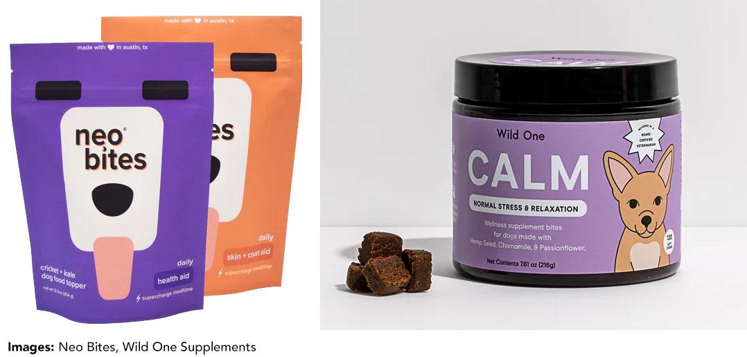Revolutionizing Pet Care: Innovations for Happier Furry Friends