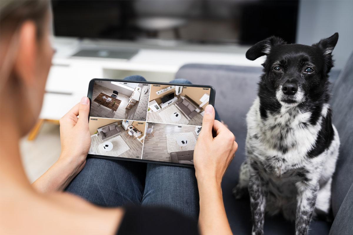 Innovative Technologies Transforming Pet Health Monitoring