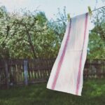 How to Make Your Own All-Natural Air Fresheners