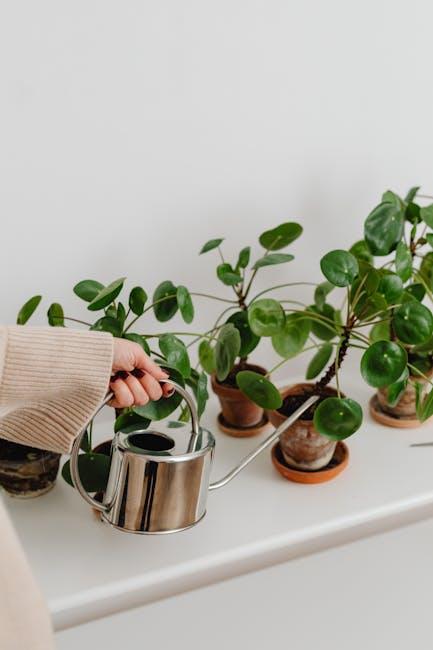 Mastering Watering Techniques to Avoid Common Mistakes
