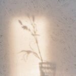 Cómo afecta la luz a la productividad en casa