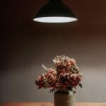 Weekly rituals to reset your living space