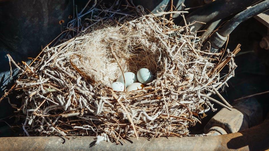 Embracing Nature's Cycles for a Harmonious Home Atmosphere
