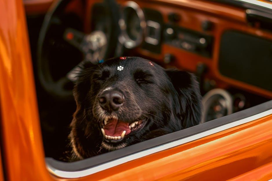 Master the Art of Refinancing Your Auto Loan in 2025 Today