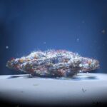 Exploring the Emergence of Digital Art Collectibles Today