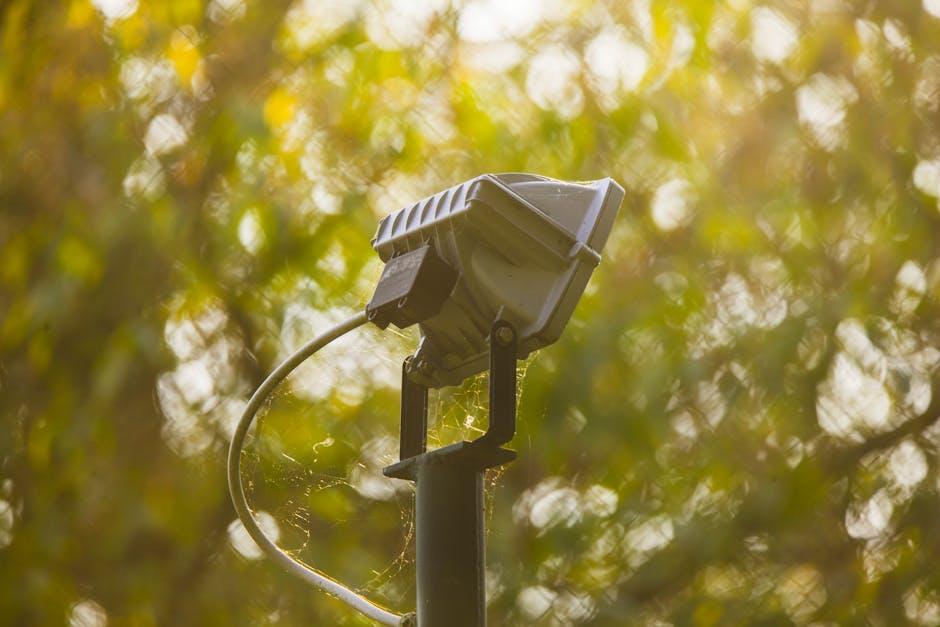 Optimizing Lighting and Ventilation to Boost Seasonal Energy Flow