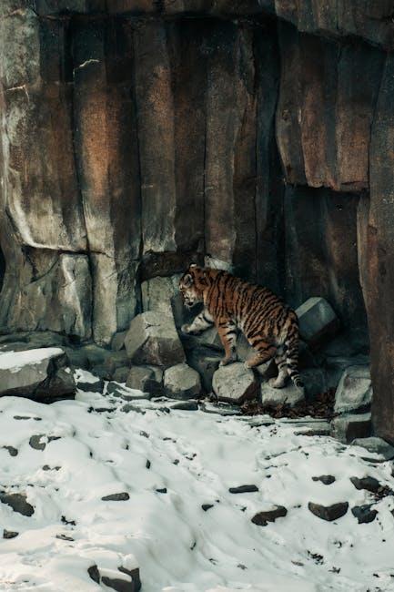 Enhancing Conservation Efforts with Real-Time Data Analysis