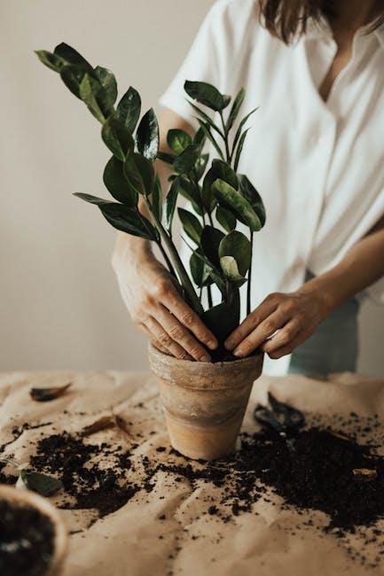 Eco-Friendly Gardening Tips with Recycled Household Materials